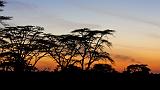 TANZANIA - Serengeti National Park - Alba - 02